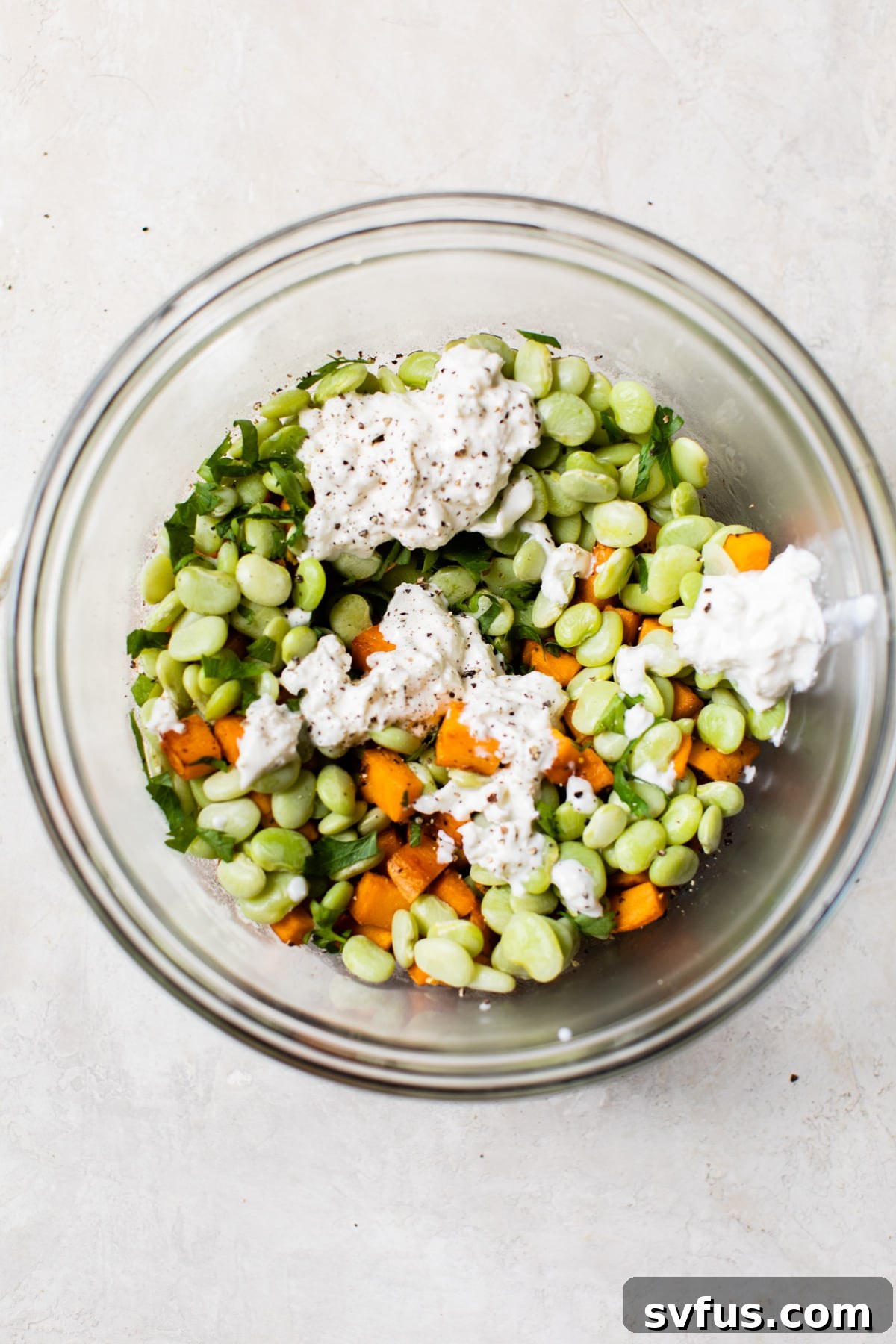 A close-up shot of the finished Lima Bean Salad, generously topped with creamy burrata cheese and fresh herbs, showcasing its appetizing textures and colors.