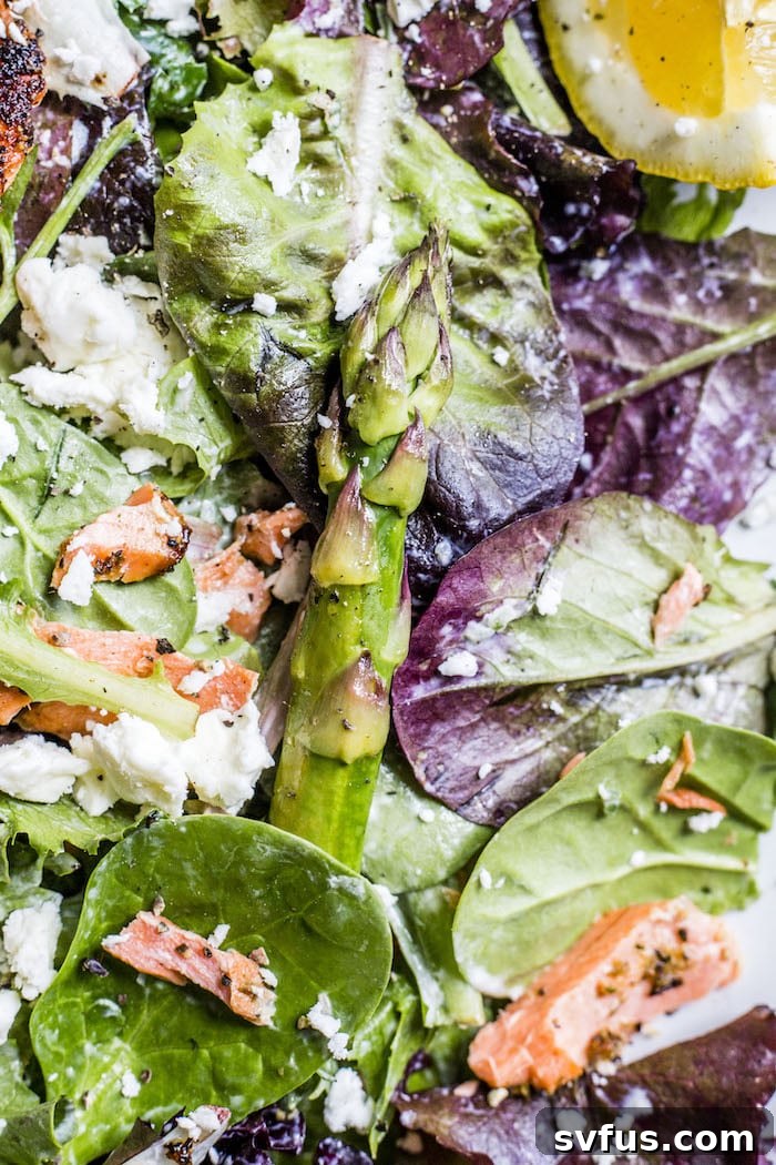 Close-up of Garlic Salmon Salad showing the flaky salmon and fresh greens.