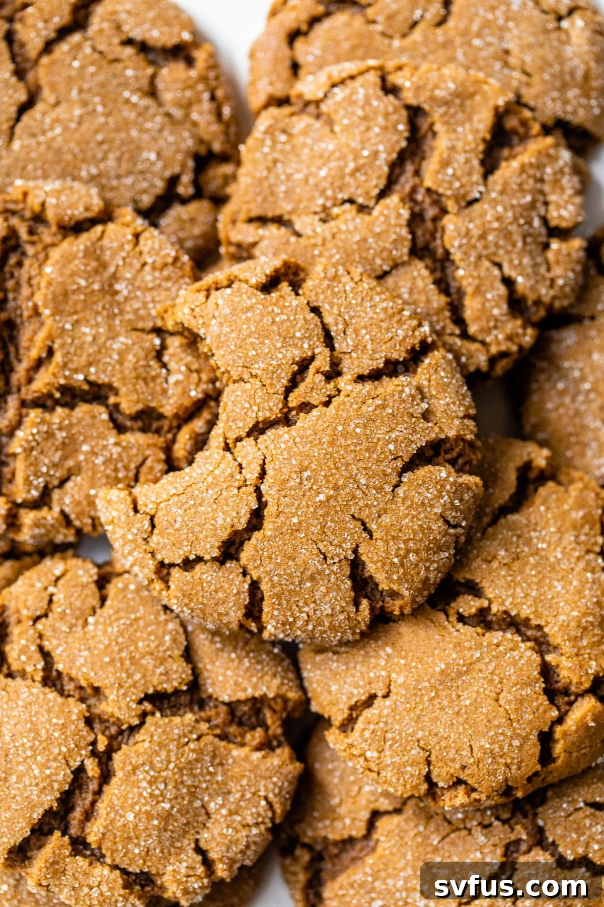 A generous pile of perfectly baked vegan ginger cookies, with one cookie showing a delicious bite taken out, highlighting its soft, chewy texture.