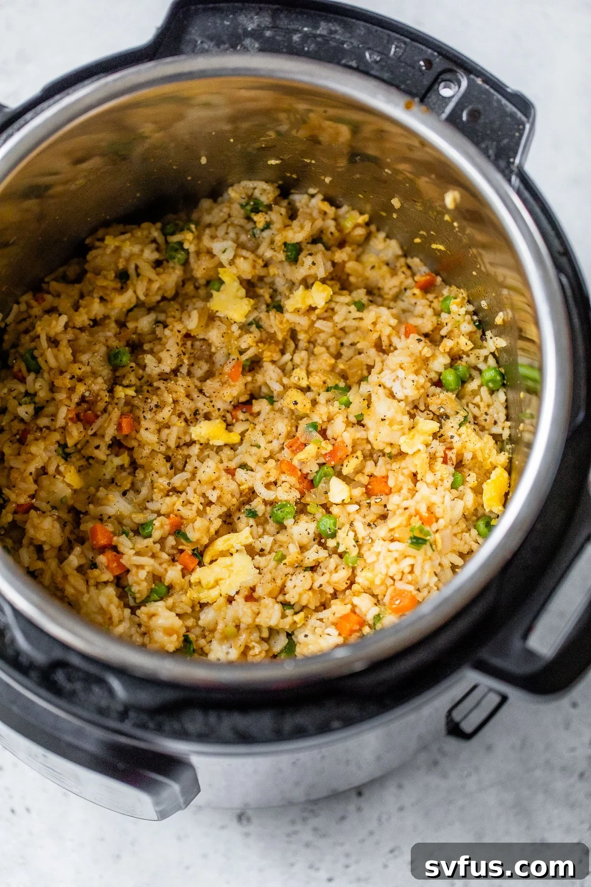 A close-up shot of delicious Instant Pot fried rice, perfectly cooked and garnished, inside an Instant Pot.