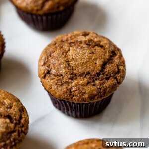 close up photo of a gingerbread muffin
