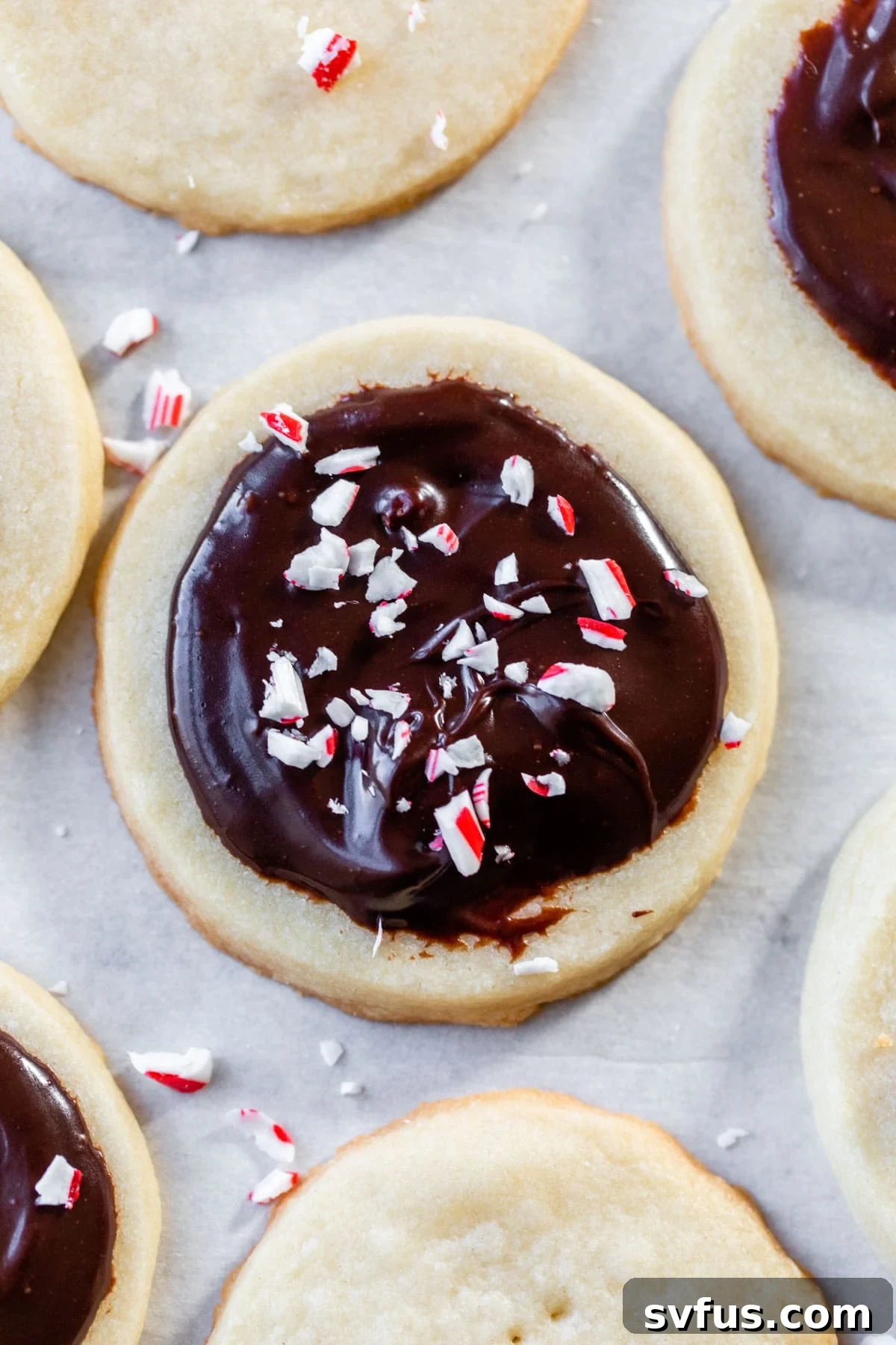 Round shortbread cookie on parchment paper before baking, showcasing its perfect shape.