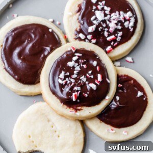 five shortbread cookies with chocolate icing on a gray plate