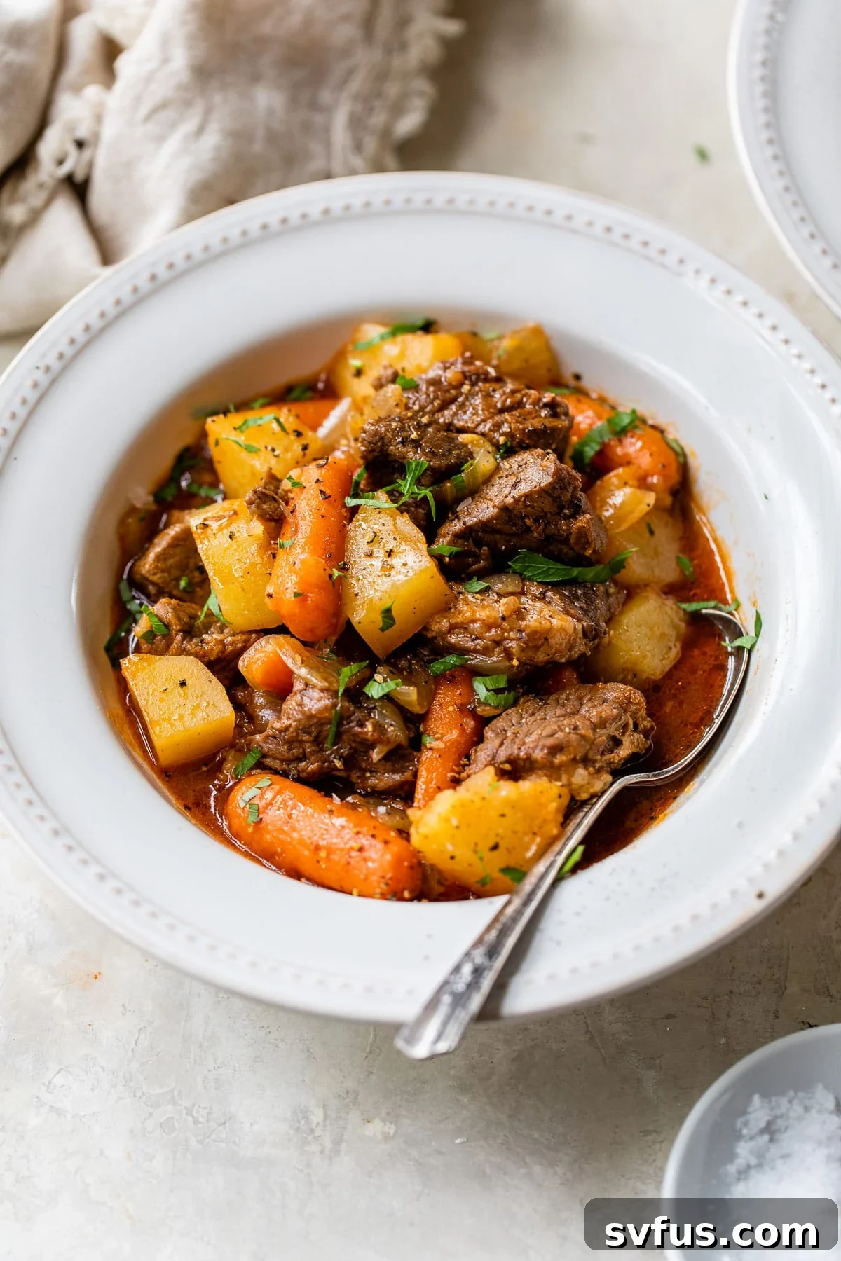a bowl of stew with beef, carrots and potatoes