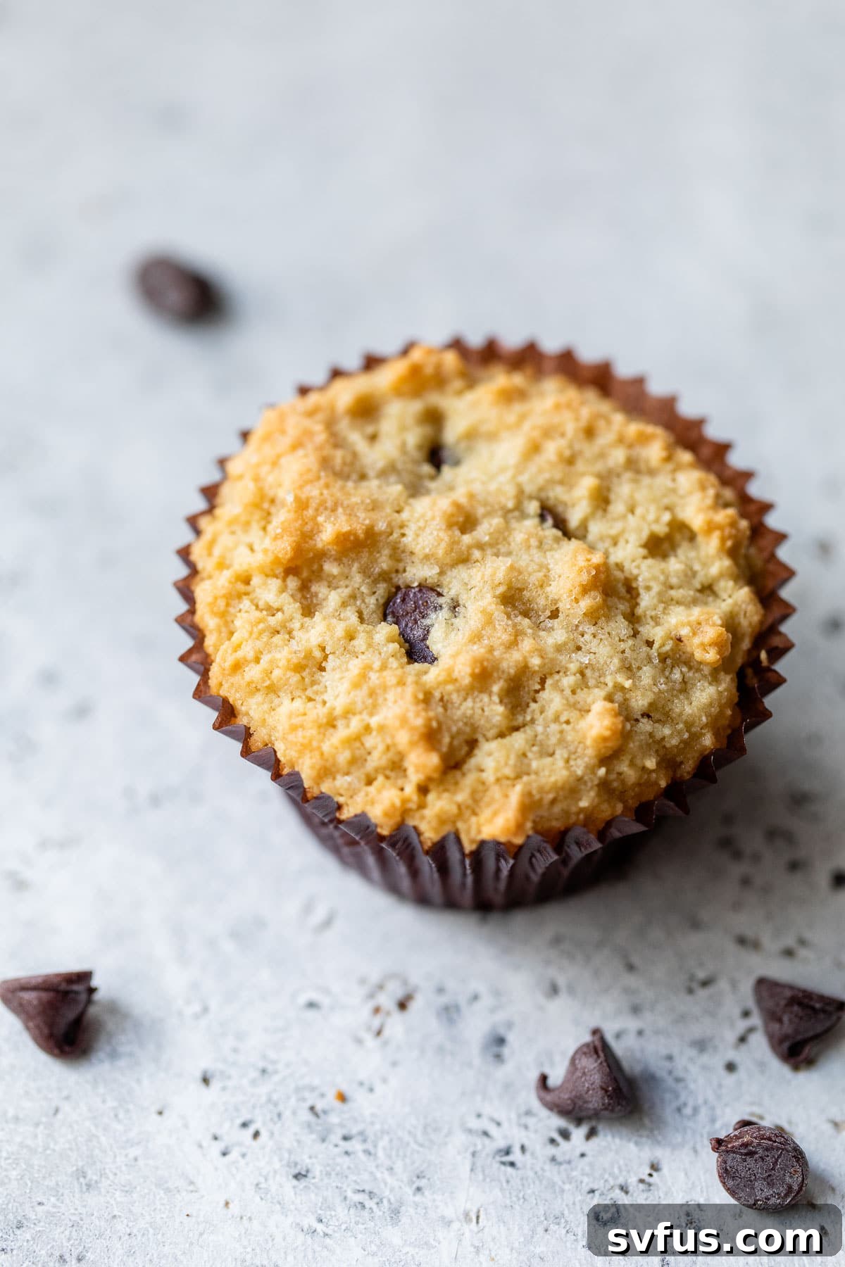 a chocolate chip muffin in a liner