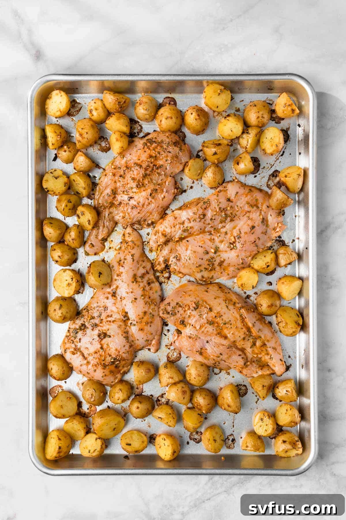 Overhead view of uncooked, seasoned chicken breasts strategically placed alongside par-roasted baby potatoes on a sheet pan, just before the final cooking stage.