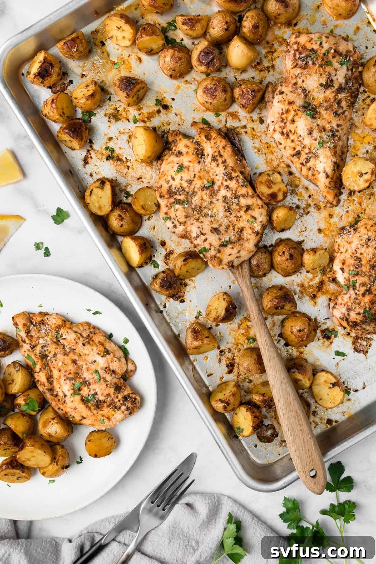 Overhead view of beautifully roasted lemon-garlic chicken and potatoes on a sheet pan, with a perfectly plated individual serving nearby, garnished for presentation.