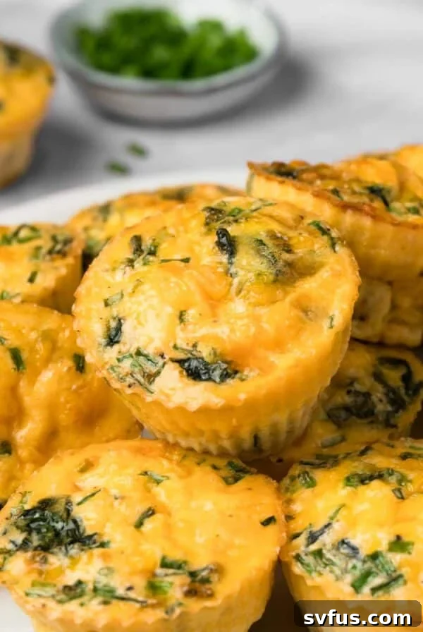 side view of a pile of high protein egg muffins.